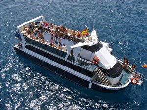 dolphins catamaran glass bottom Fuerteventura
