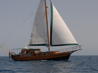 Paradise sailing boat turkish gulet